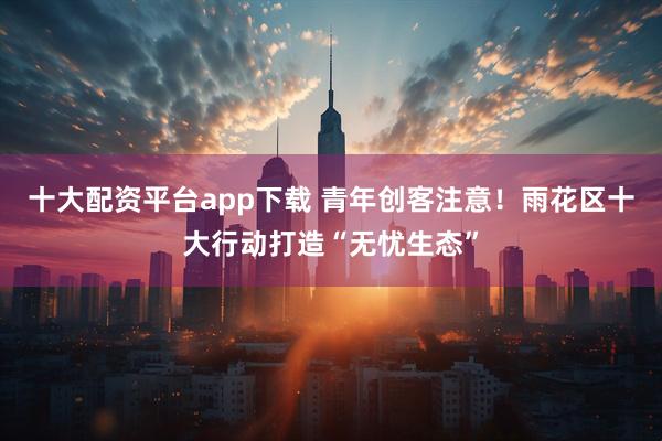 十大配资平台app下载 青年创客注意！雨花区十大行动打造“无忧生态”